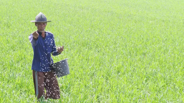 Utang UMKM hingga Petani Resmi Dihapus Pemerintah, 2 Menteri Prabowo Semringah