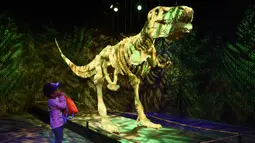 Sky Itomi (3) memandangi patung ‘Dinosaur Skeleton’ yang terbuat dari 80.020 keping lego saat pratinjau pameran The Art of the Brick di California Science Center, Los Angeles, California, Amerika Serikat, Rabu (26/2/2020). Pameran ini akan dibuka pada 28 Februari 2020. (AP Photo/Chris Pizzello)