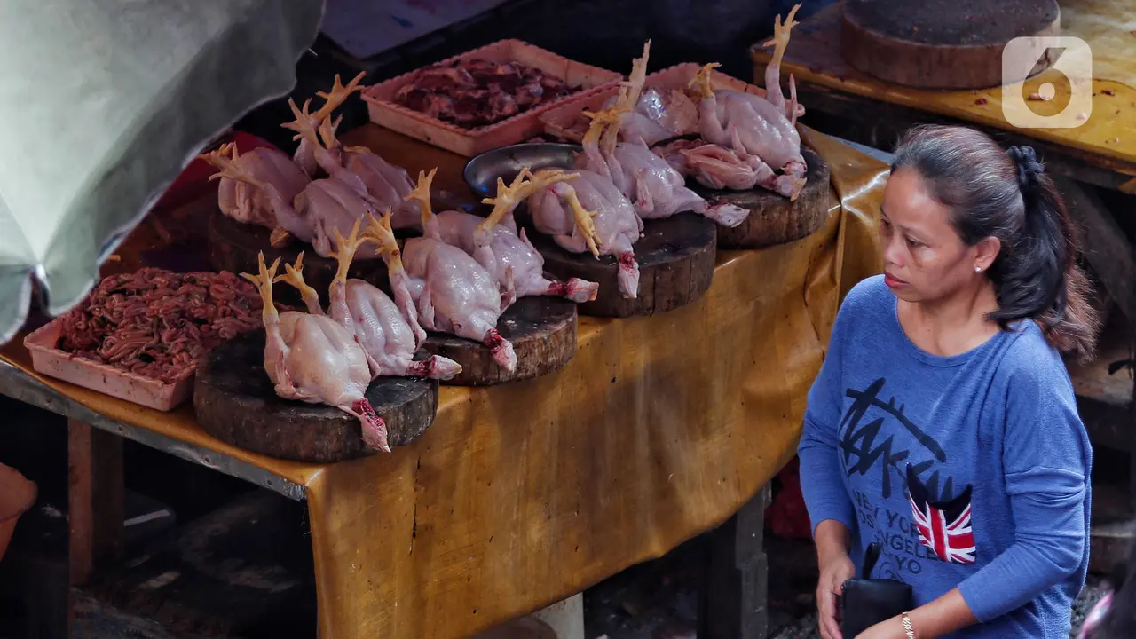 Harga Ayam Potong