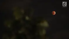 Gerhana bulan "super blue blood moon" terlihat di atas langit Jakarta, Rabu (31/1). Gerhana bulan kali ini berbeda disebut super blue blood moon dimana jarak bulan dengan bumi sangat dekat serta memilik warna yang sangat merah (Liputan6.com/Arya Manggala)