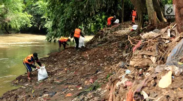 Sejumlah petugas PPSU atau pasukan oranye menggunakan karung mengumpulkan rumput liar dan sampah mengendap di tepi kali Ciliwung, Lenteng Agung , Jakarta, Sabtu (28/10). Hal itu dilakukan demi menjaga kebersihan kali Ciliwung. (Liputan6.com/Helmi Afandi)