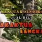 (Liputan 6 TV)