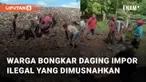 Beredar video terkait warga yang membongkar daging kerbau ilegal di TPA. Peristiwa itu terjadi  di Bengkalis, Riau pada Senin (29/5/2023)
