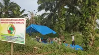 Masyarakat Desa Gondai, Kabupaten Pelalawan, membangun tenda untuk memertahankan kebun dari eksekusi lahan. (Liputan6.com/M Syukur)