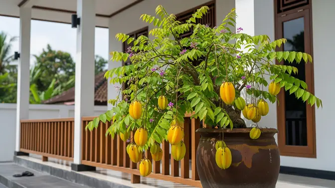 16 Jenis Pohon Buah yang Bisa Dibuat Pendek tetapi Tetap Berbuah Lebat di Pekarangan