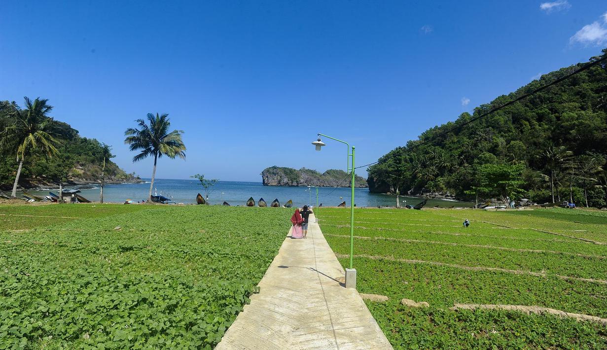Lembah Watu Pawon di Dusun Nglumpang, Desa Nglebeng, Kecamatan Panggul, Kabupaten Trenggalek, menjadi destinasi yang semakin menarik perhatian traveler pencinta ketenangan. Lokasinya sangat dekat dari Pantai Kuyon, hanya sekitar 100 meter atau cukup berjalan kaki tak sampai lima menit dari bibir pantai. (merdeka.com/Arie Basuki)