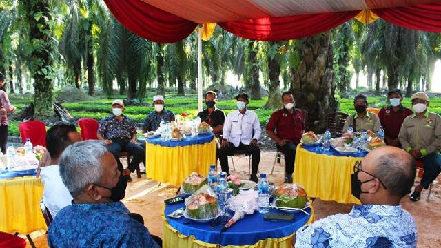 Diskusi manajemen PT Perkebunan Nusantara dengan petani plasma sawit di Kabupaten Kampar.