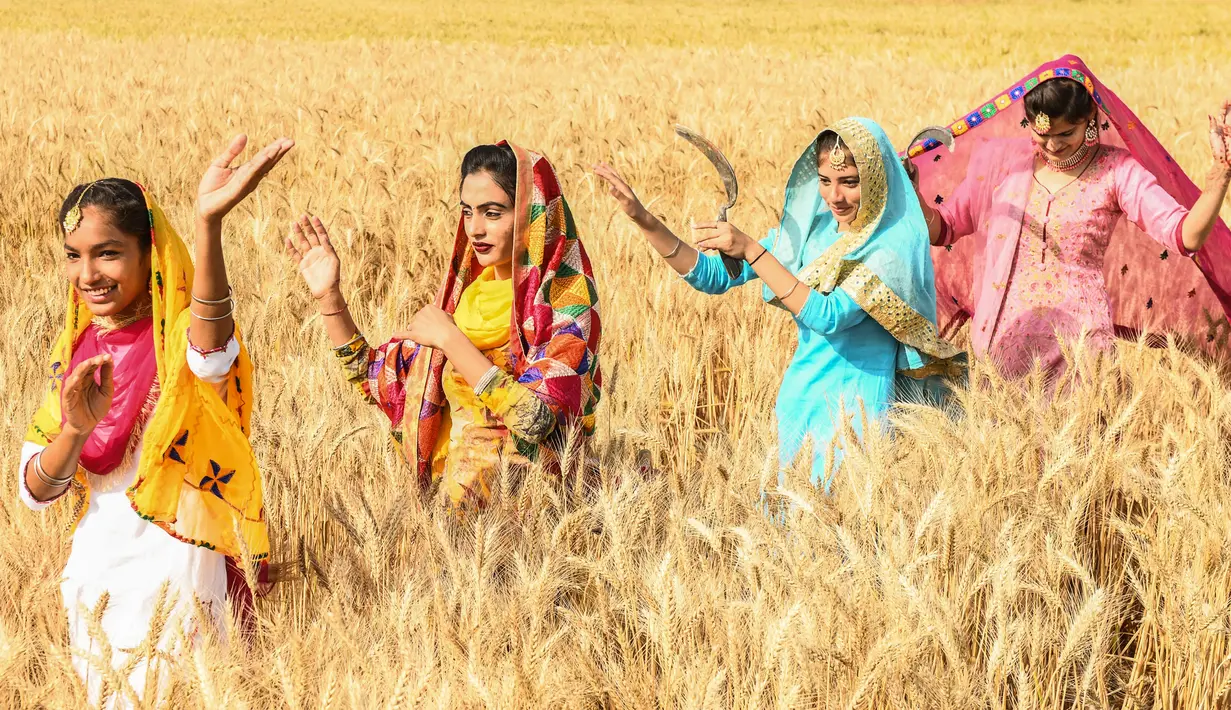 Pemuda Sikh menampilkan tarian tradisional rakyat Punjab atau Bhangra jelang festival panen Baisakhi di ladang gandum pinggiran Amritsar, India, 11 April 2021. Baisakhi adalah festival yang dirayakan di seluruh India utara, terutama di wilayah Punjab oleh komunitas Sikh. (NARINDER NANU/AFP)