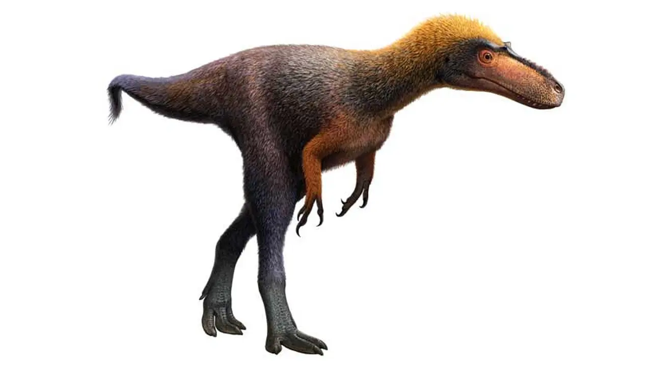 Suskityrannus hazelae, nenek moyang T-rex berukuran mungil. Sumber: Science News