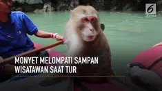 Seekor monyet melompat ke kayak wisatawan di Thailand.