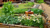 9 Ide Kebun Produktif ala Rumah Jepang di Desa untuk Kehidupan Lebih Seimbang Tren 2026
