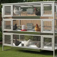 Desain Kandang Ayam Hemat Biaya tapi Tidak Bau (Foto: Gemini AI)