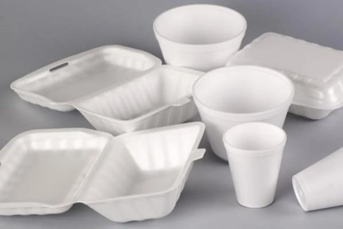 Kemasan styrofoam./Copyright cvsan.org