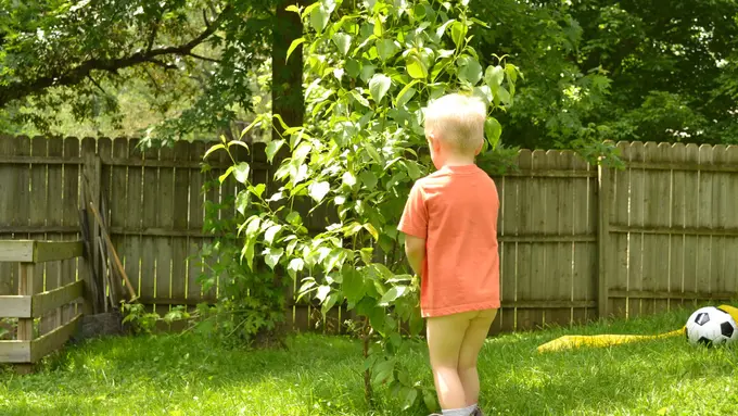 26 Fakta Air Pipis yang Belum Kamu Tahu