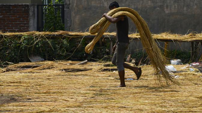 Seorang pekerja mengeringkan rotan untuk diekspor di sebuah bengkel di Banda Aceh (16/10/2019). Setiap tahunnya, Aceh mampu memproduksi sekitar ratusan ribu ton rotan. (AFP Photo/Chaideer Mahyuddin)