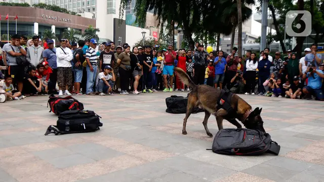 Anjing Pelacak