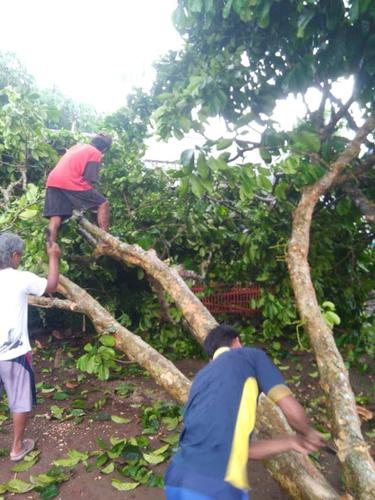 Dahan pohon duku berusia tua patah dan menimpa rumah di Sumbang, Banyumas. (Foto: Liputan6.com/BPBD Banyumas/Muhamad Ridlo)