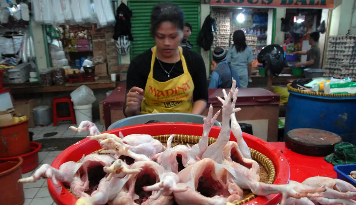 Pedagang ini nampak merapihkan Ayam yang dijualnya di Pasar Minggu, Jakarta, Kamis (24/7/2014) (Liputan6.com/ Miftahul Hayat)