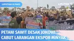 Harganya terus anjlok, petani sawit di Kotabaru, Kalimantan Selatan, melakukan demo di depan Kantor Bupati. Mereka menuntut Presiden Jokowi mencabut larangan ekspor minyak goreng yang dianggap jadi pemicu murahnya harga sawit.