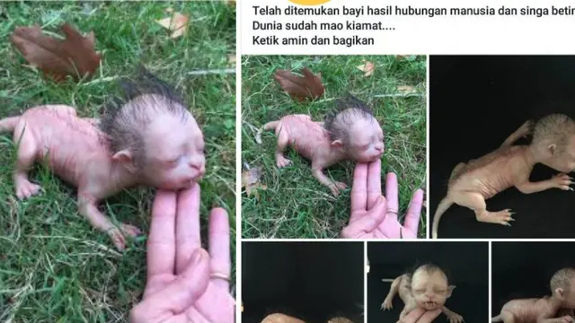 Heboh bayi bertaring hasil perkawinan antara manusia dan singa. (Twitter @muliaoctavia)