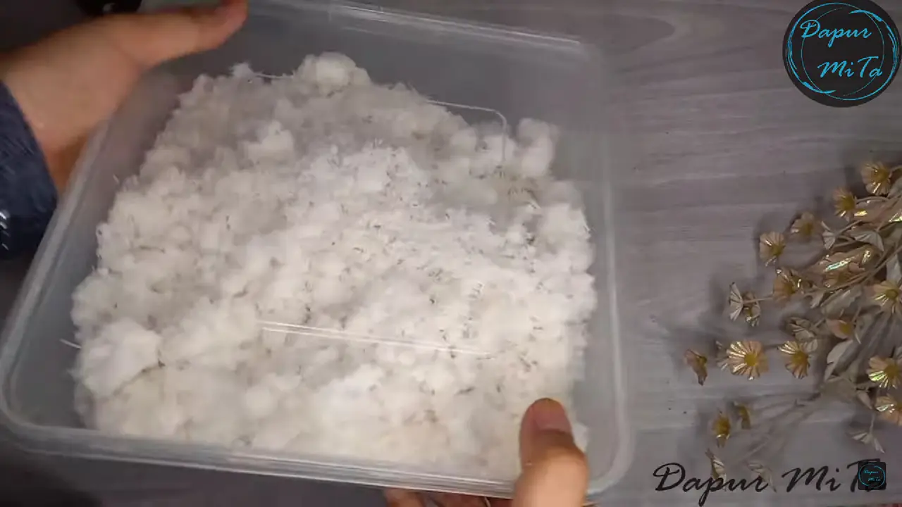 Jangan Langsung Dimasukkan Kulkas, Ini Cara Simpan Kelapa Parut  Agar Awet hingga 1 Bulan