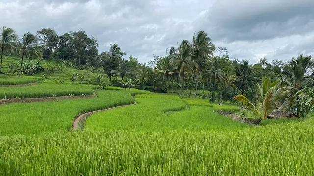 Cerita merayakan Tahun Baru 2023 di Baduy Dalam (Foto: Ita Hanika)