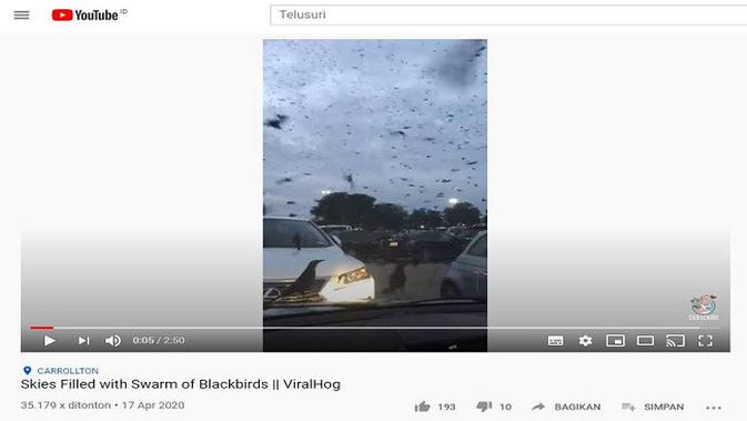 Gambar Tangkapan Layar Video dari Channel YouTube ViralHog