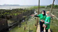 Penanaman enam ribu pohon mangrove di kawasan Adventure Land Romokalisari, Kota Surabaya. (Dian Kurniawan/Liputan6.com)