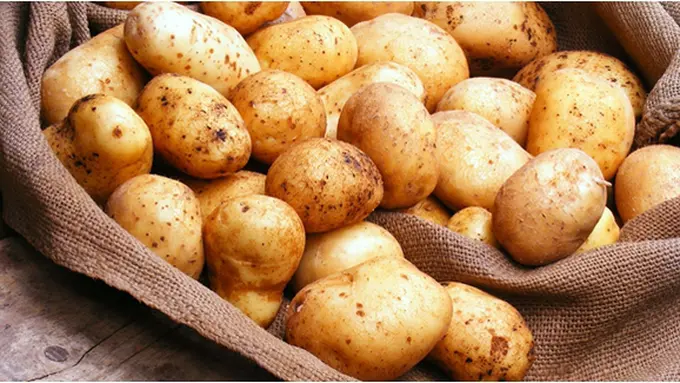 Courtesy ShutterStock.com