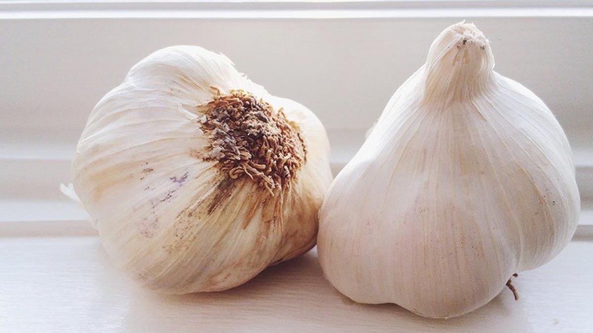 Tangan Bau Bawang saat Masak? Begini Cara Menghilangkannya