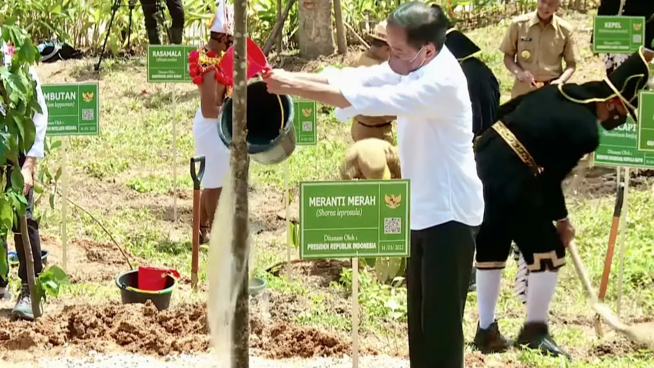 Presiden Jokowi