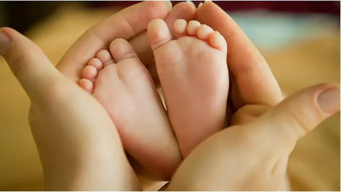 Courtesy ShutterStock.com