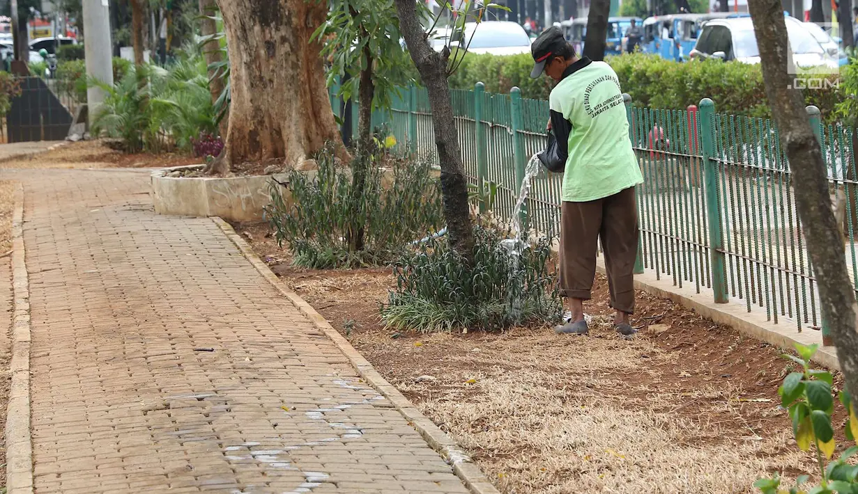 Petugas menyiram tanaman di Taman Sepeda, Jakarta, Sabtu (25/8). Kurangnya perawatan serta musim kemarau yang masih berlangsung di Ibukota membuat rumput dan sejumlah tanaman di taman tersebut mati akibat kekeringan. (Liputan6.com/Immanuel Antonius)