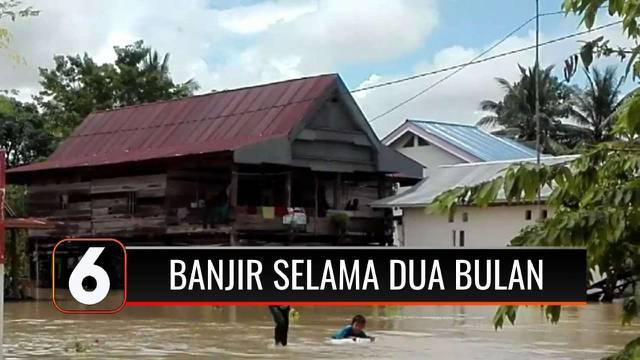 Telah 2 bulan berlalu, ratusan rumah di Luwu Utara, Sulawesi Selatan, masih terendam banjir. Akibatnya, puluhan rumah rusak, termasuk putusnya akses jalan antar desa.