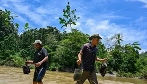 Bagaimana Cara Melestarikan Tumbuhan untuk Menjaga Keseimbangan Ekosistem dan Keanekaragaman Hayati