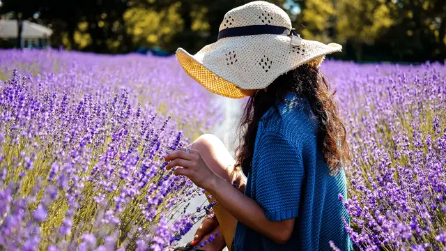 aroma lavender