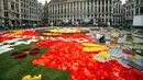 Seorang sukarelawan menata Karpet Bunga Brussels di Grand Place, Brussels, Belgia, Kamis (16/8). Karpet Bunga Brussels bertema Amerika Latin. (AP Photo/Virginia Mayo)