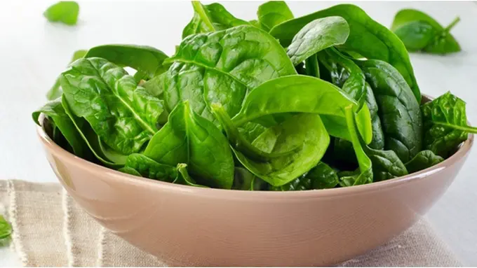 Foto : copyright shutterstock.com