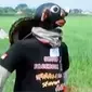 Kepopuleran hantu sawah saat ini mulai menurun.