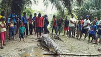 Akhir Tragis Buaya Raksasa di Desa Tamiang