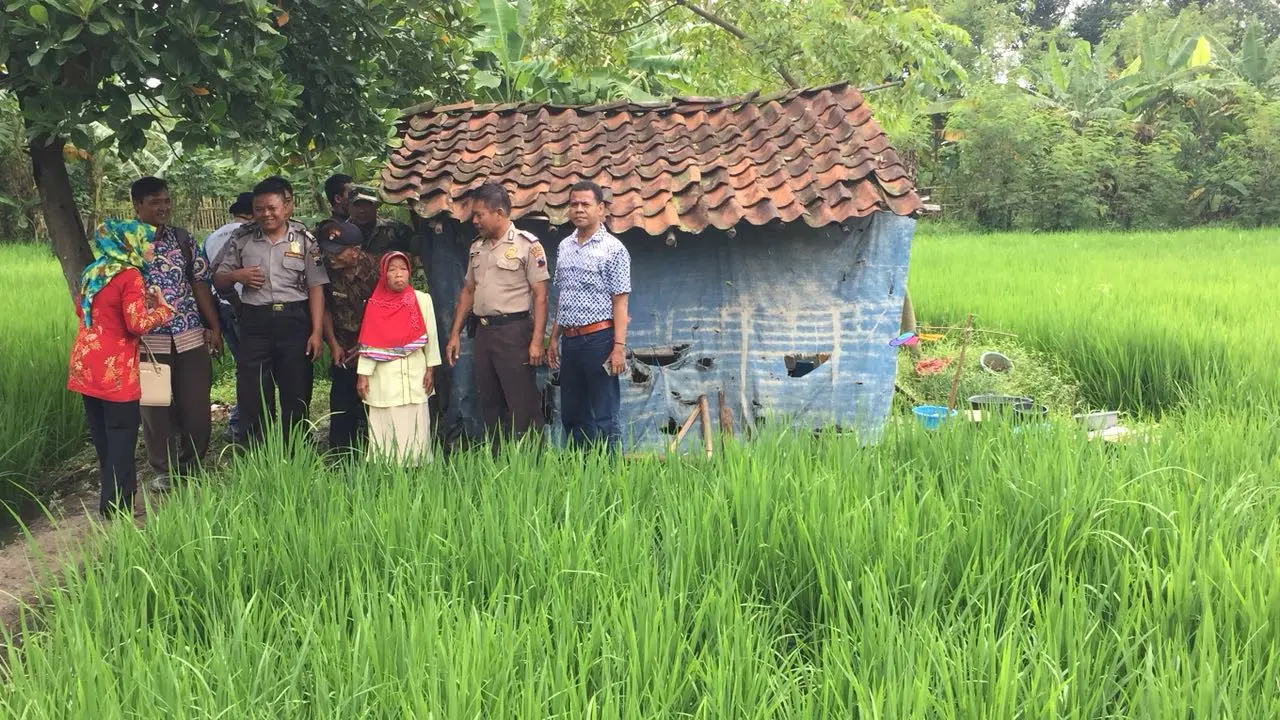 Derita Nenek Sebatang Kara Hidup di Gubuk Tengah Sawah