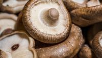 Cara Masak Jamur Shitake Kering untuk Hidangan Kaya Rasa Umami