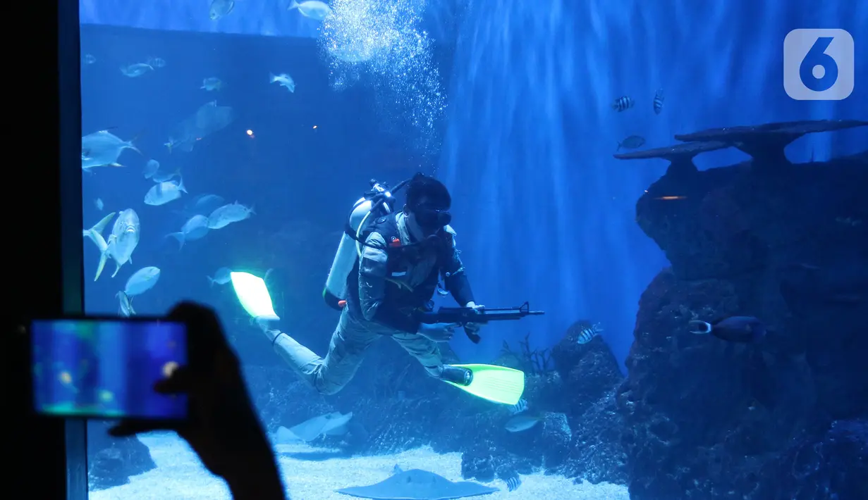 Atraksi penyelam  di Jakarta Aquarium & Safari (JAQS), Jakarta, Selasa (17/8/2021). Dalam memperingati hari kemerdekaan ke-76 RI, JAQS menyelenggarakan rangkaian Pengibaran Bendera Raksasa. (Liputan6.com/Herman Zakharia)