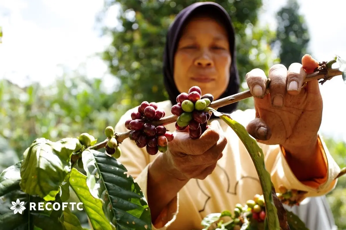 Kopi RECOFTC