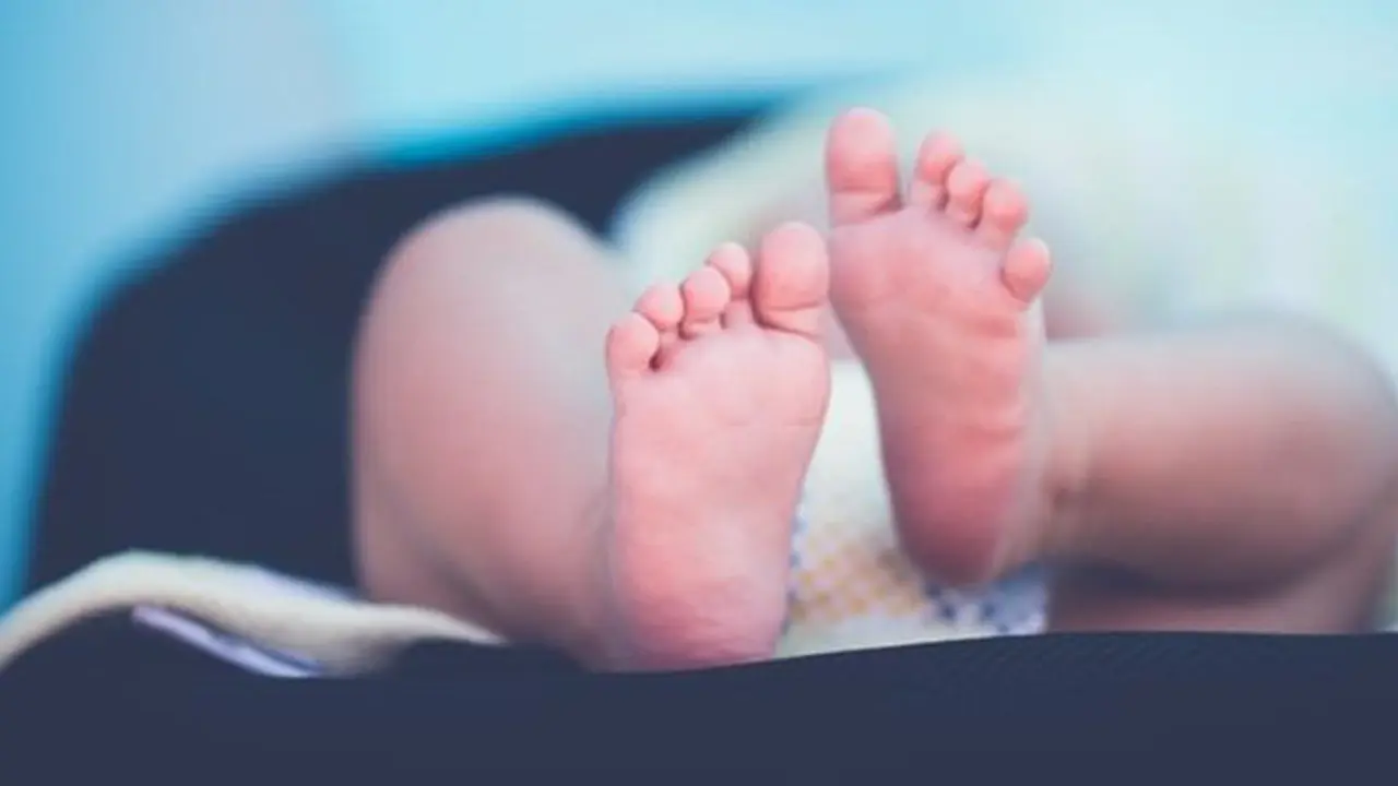 Foto: pexels.com