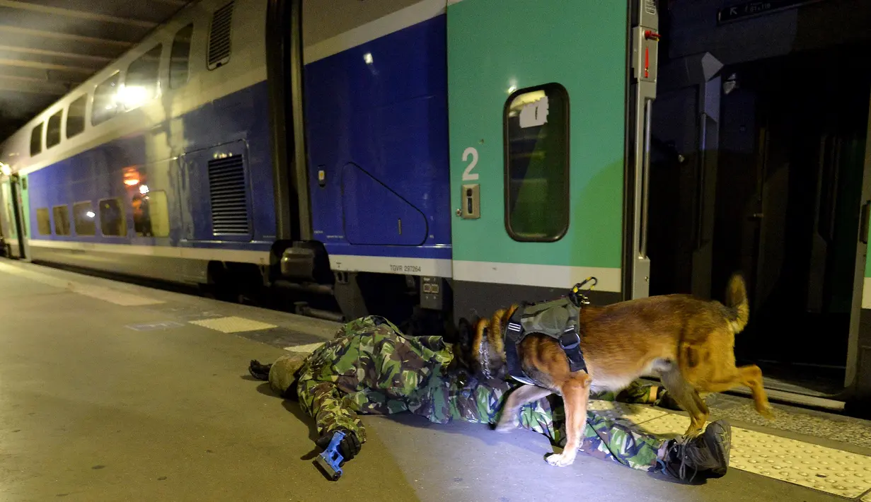  Duncan, salah satu anjing, dan anggota dari GIGN saat melakukan latihan serangan teroris di la Gare Montparnasse, Paris (20/4). Dalam latihan tersebut Menteri Dalam Negeri Prancis Bernard Cazeneuve ikut ambil bagian. (REUTERS/MIGUEL MEDINA)