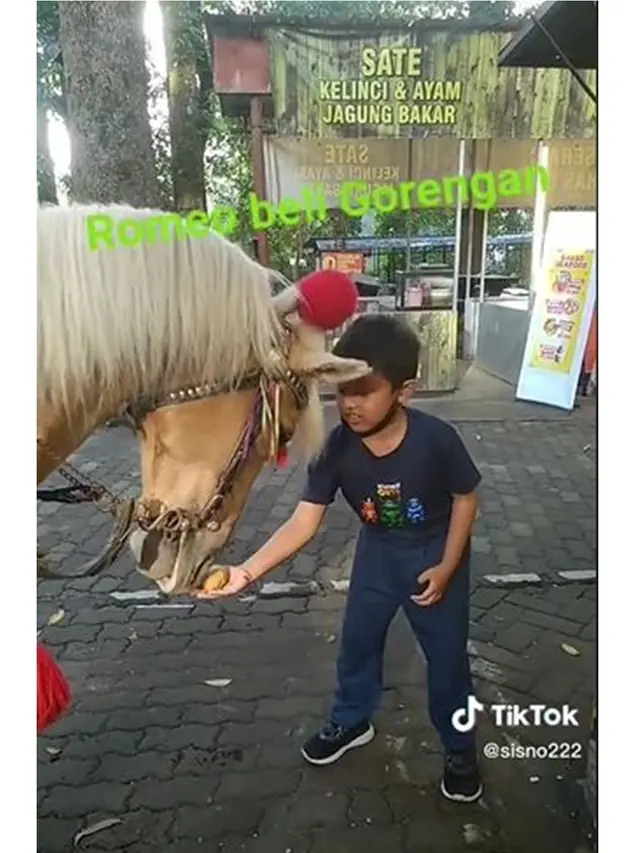 Aksi Kocak Kuda 'Romeo' Berlari Sendiri Jajan Gorengan, Bikin Penjualnya Ketawa