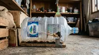 Cara Buat Perangkap Tikus dari Galon: Solusi Sederhana, Murah, dan Efektif di Rumah