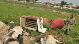 Seorang petugas Satpol PP saat penertiban gubuk liar disepanjang Jalan Inspeksi Kanal Banjir Barat (KBB), Rabu (13/7). Penertiban dilakukan lantaran gubuk liar tersebut berdiri di bahu jalan dan mengganggu ketertiban umum. (Liputan6.com/Gempur M Surya)