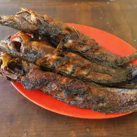 Ilustrasi lele bakar/copyrightshutterstock/haryanta.p